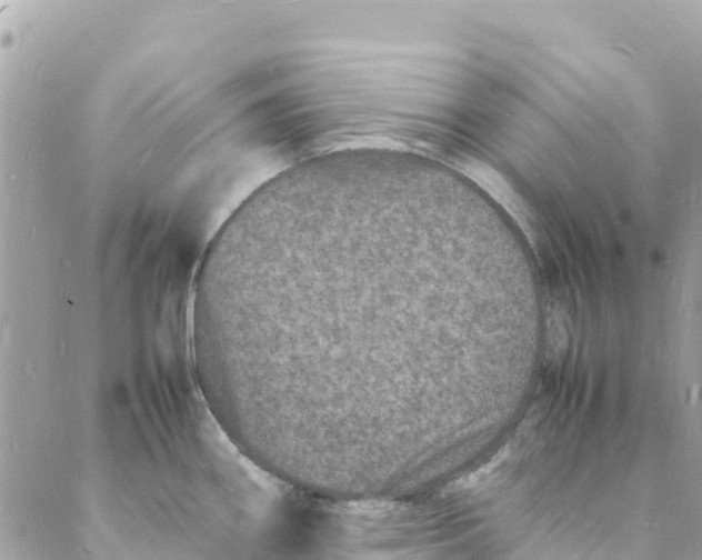 X0000088031290200706011340