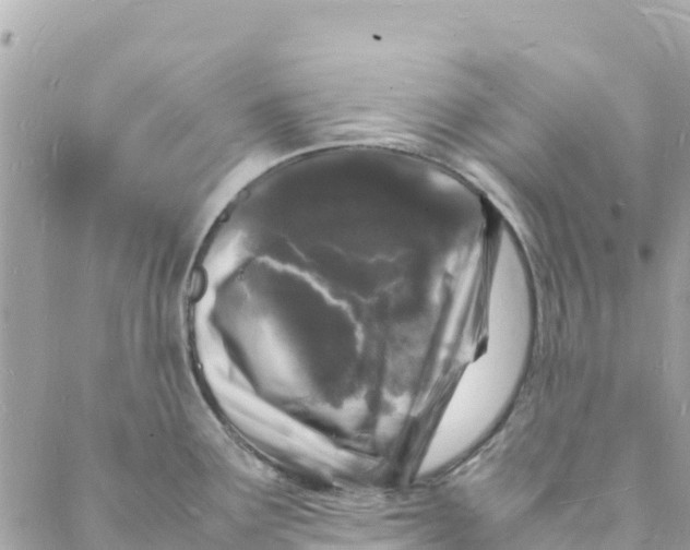 X0000088031291200706011340