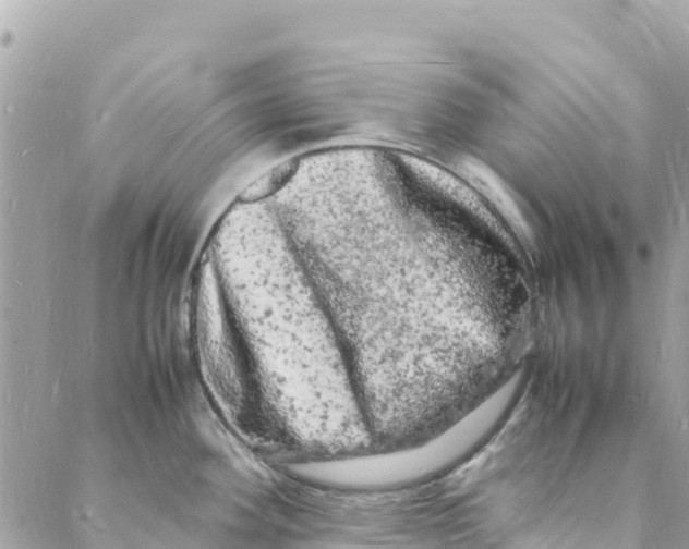 X0000088031292200706011340