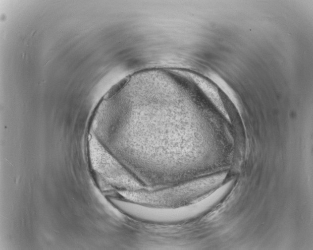 X0000088031293200706011340