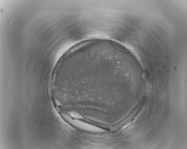 X0000088031295200706011340