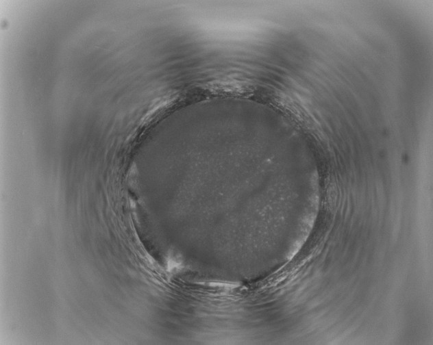 X0000088031297200706011339