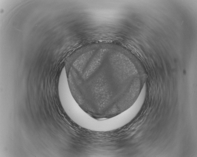 X0000088031298200706011339