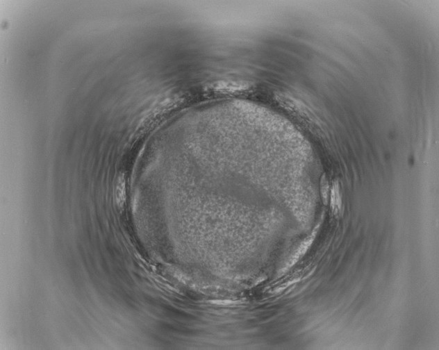 X0000088031299200706011339