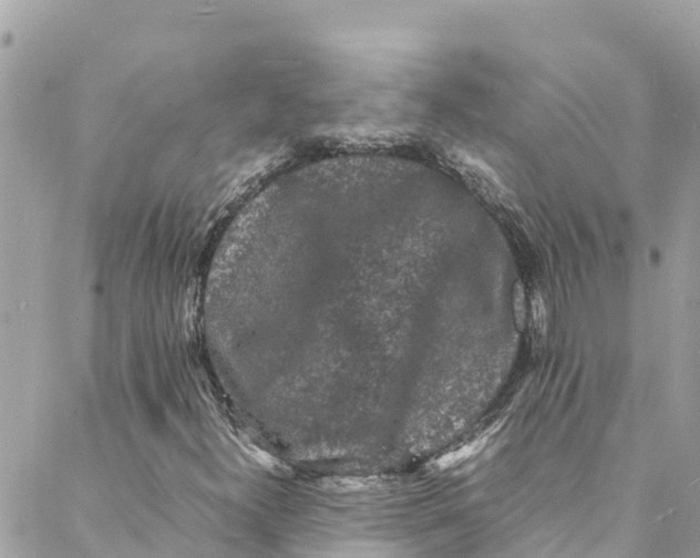 X0000088031300200706011339