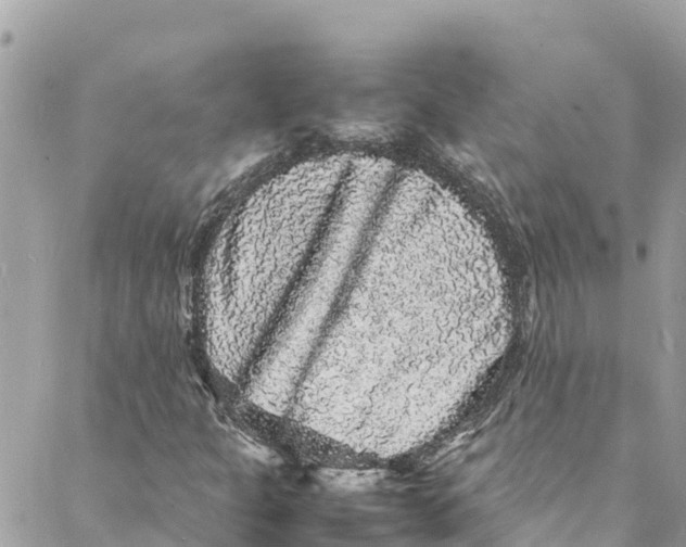 X0000088031301200706011339