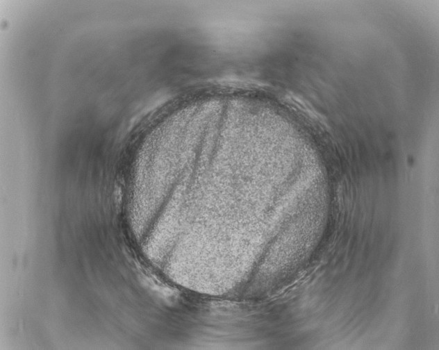 X0000088031302200706011339