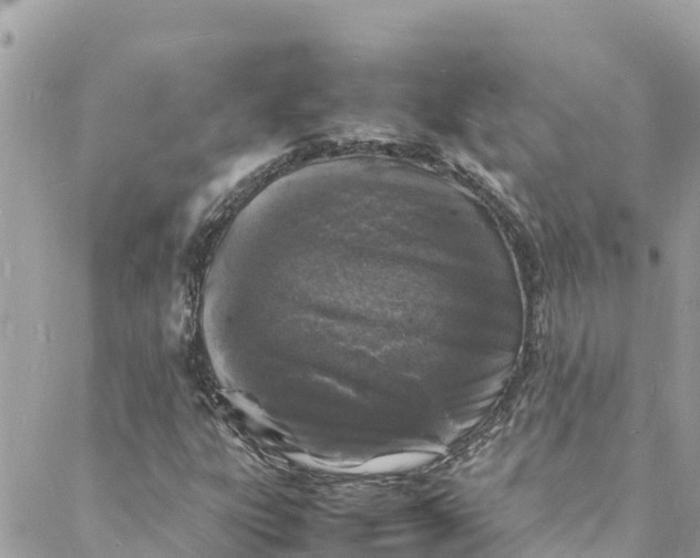 X0000088031303200706011339