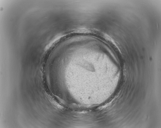 X0000088031304200706011339