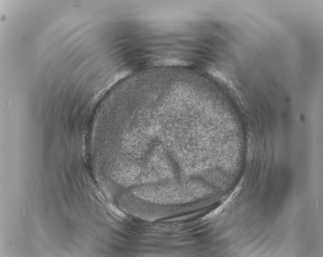 X0000088031305200706011339