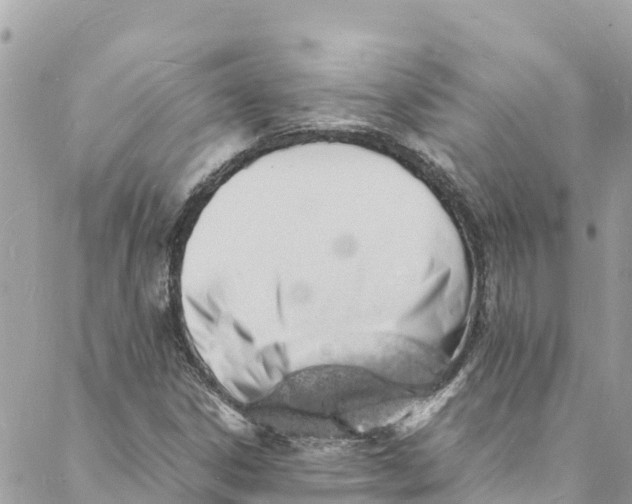 X0000088031306200706011339