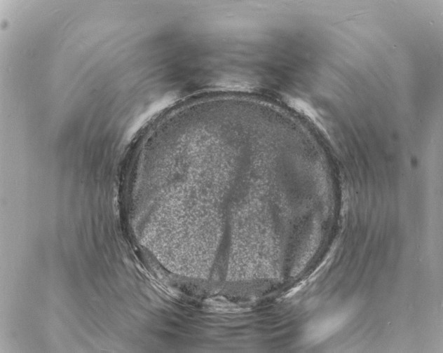 X0000088031307200706011339