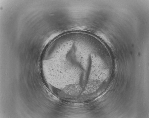 X0000088031308200706011339