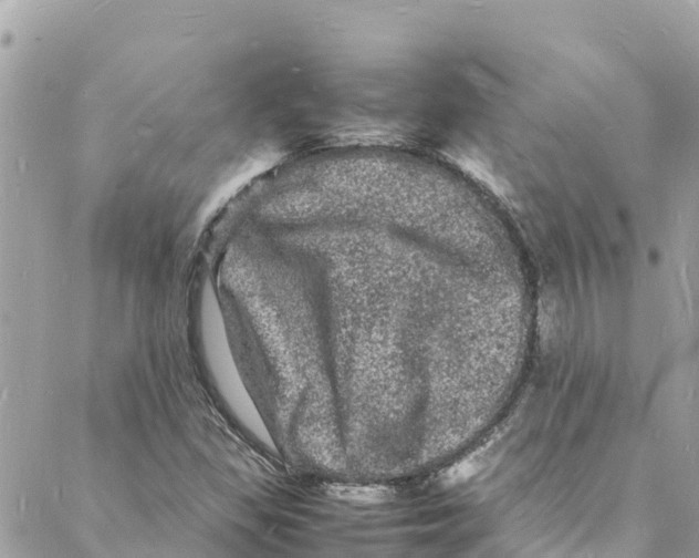 X0000088031309200706011339