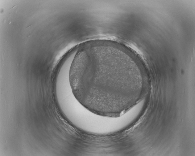 X0000088031310200706011339