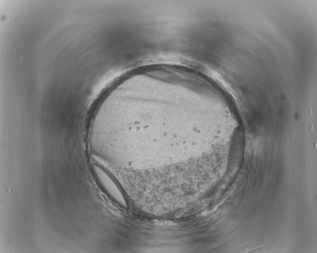 X0000088031312200706011339