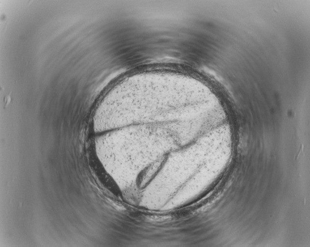 X0000088031313200706011339