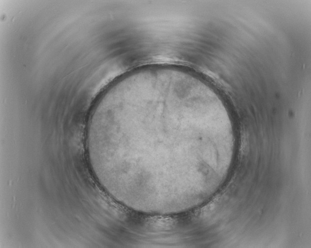 X0000088031314200706011339