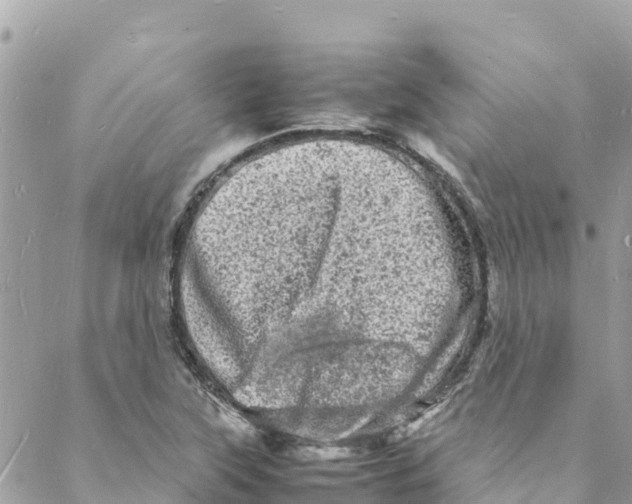 X0000088031315200706011339