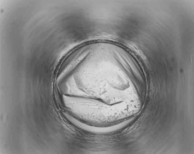 X0000088031316200706011340