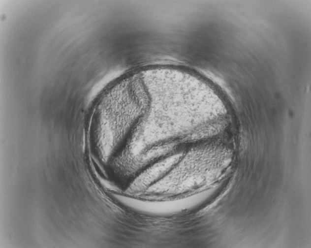 X0000088031317200706011340