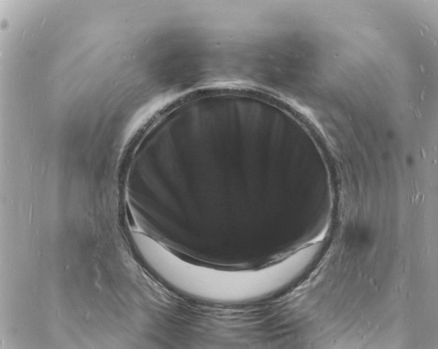 X0000088031319200706011340