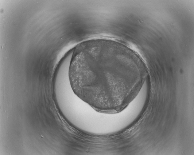 X0000088031320200706011340