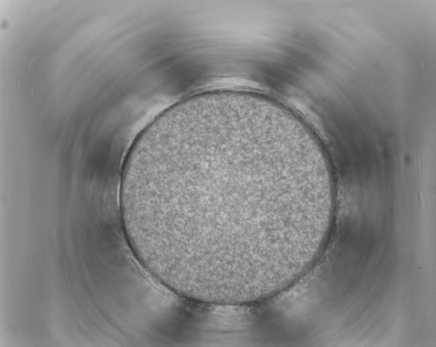 X0000088031322200706011340