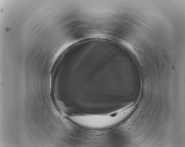 X0000088031323200706011340