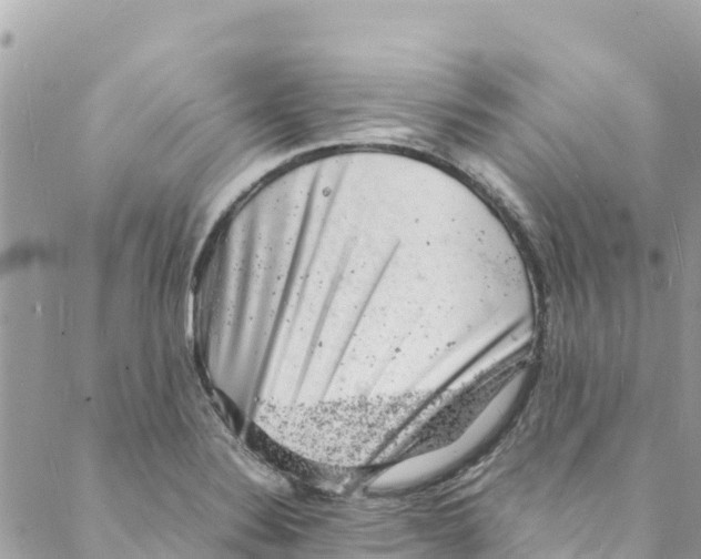 X0000088031324200706011340