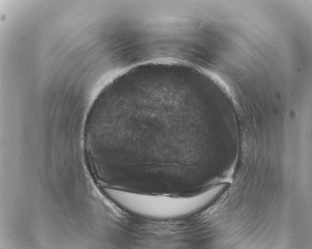 X0000088031327200706011340