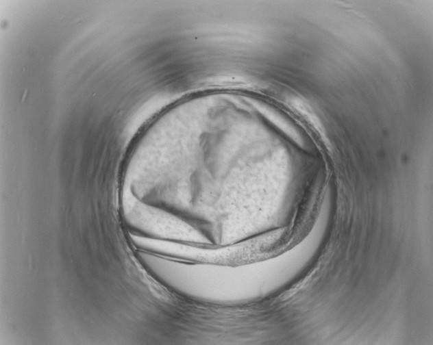 X0000088031328200706011340