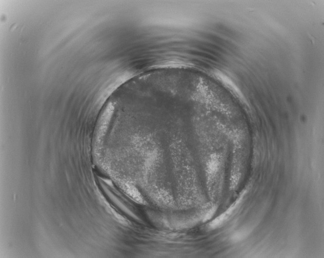 X0000088031329200706011340