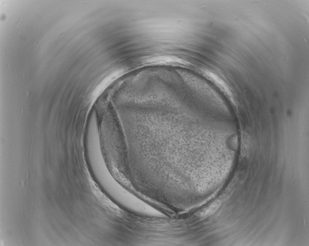 X0000088031330200706011340