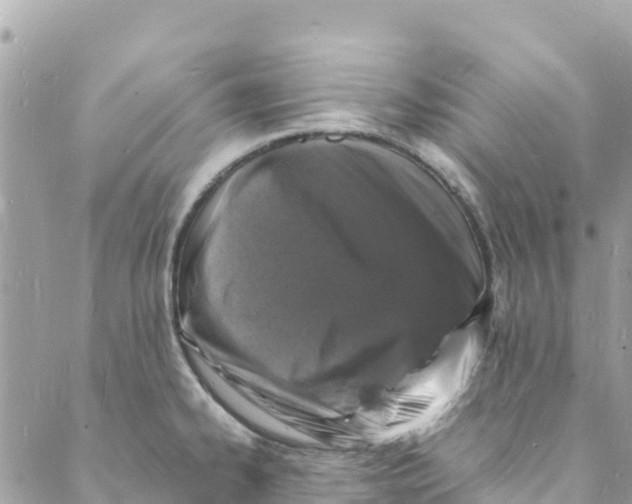 X0000088031334200706011340