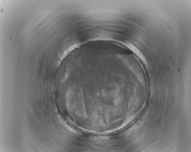 X0000088031337200706011340