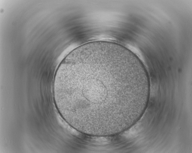 X0000088031338200706011340