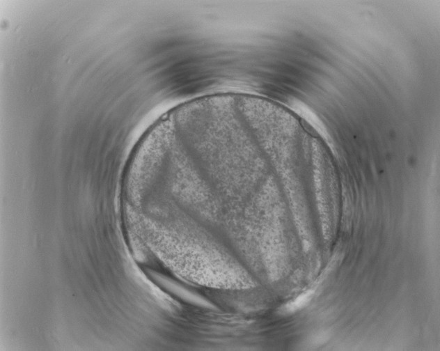 X0000088031339200706011340