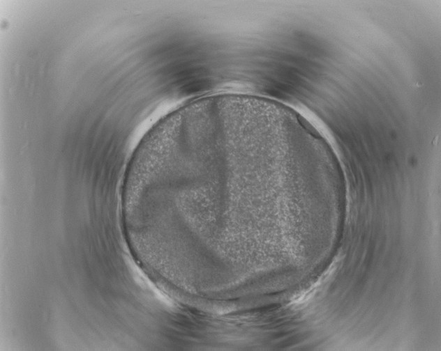 X0000088031341200706011340