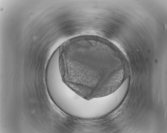 X0000088031342200706011340