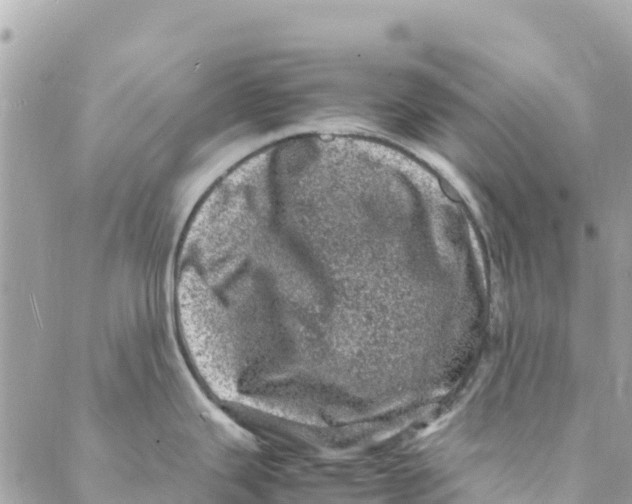 X0000088031343200706011340