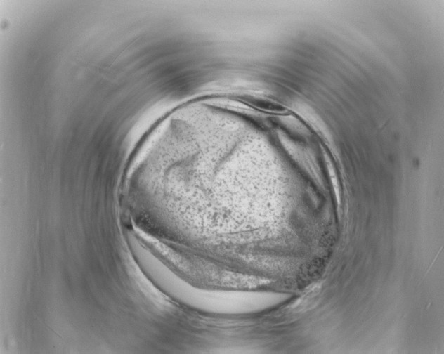 X0000088031344200706011340