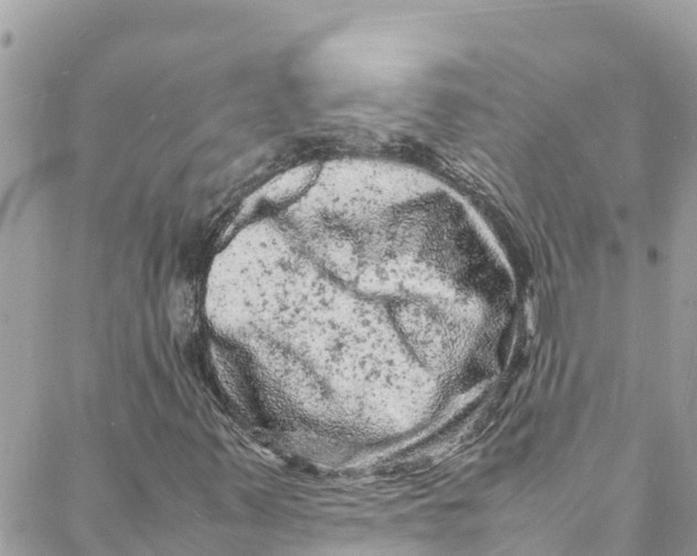 X0000088031347200706011339