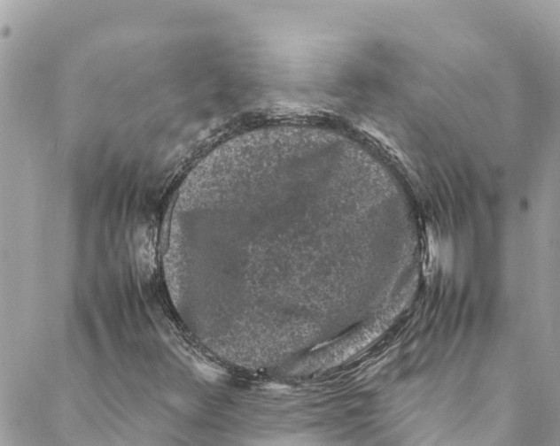 X0000088031348200706011339