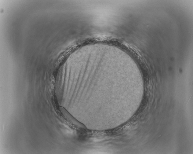 X0000088031349200706011339