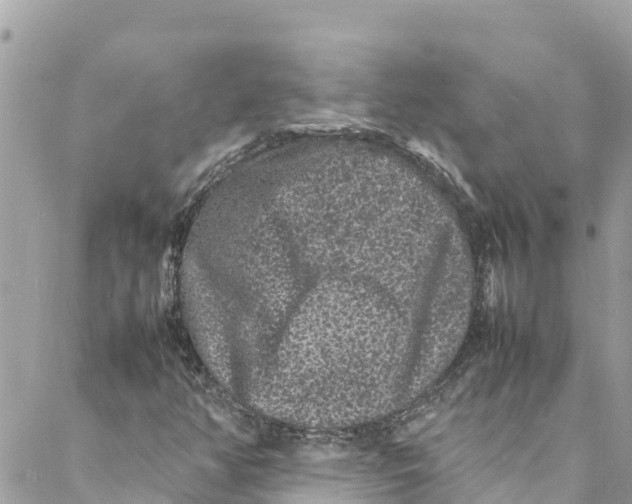 X0000088031350200706011339