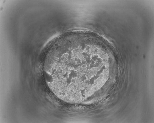 X0000088031351200706011339