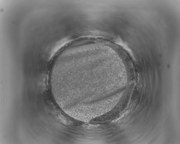 X0000088031352200706011339