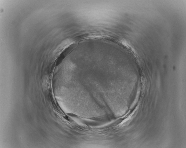 X0000088031353200706011339