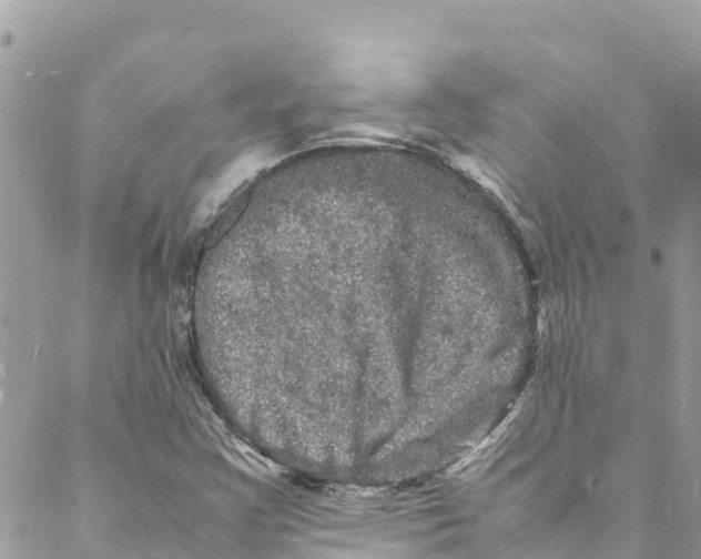 X0000088031355200706011339